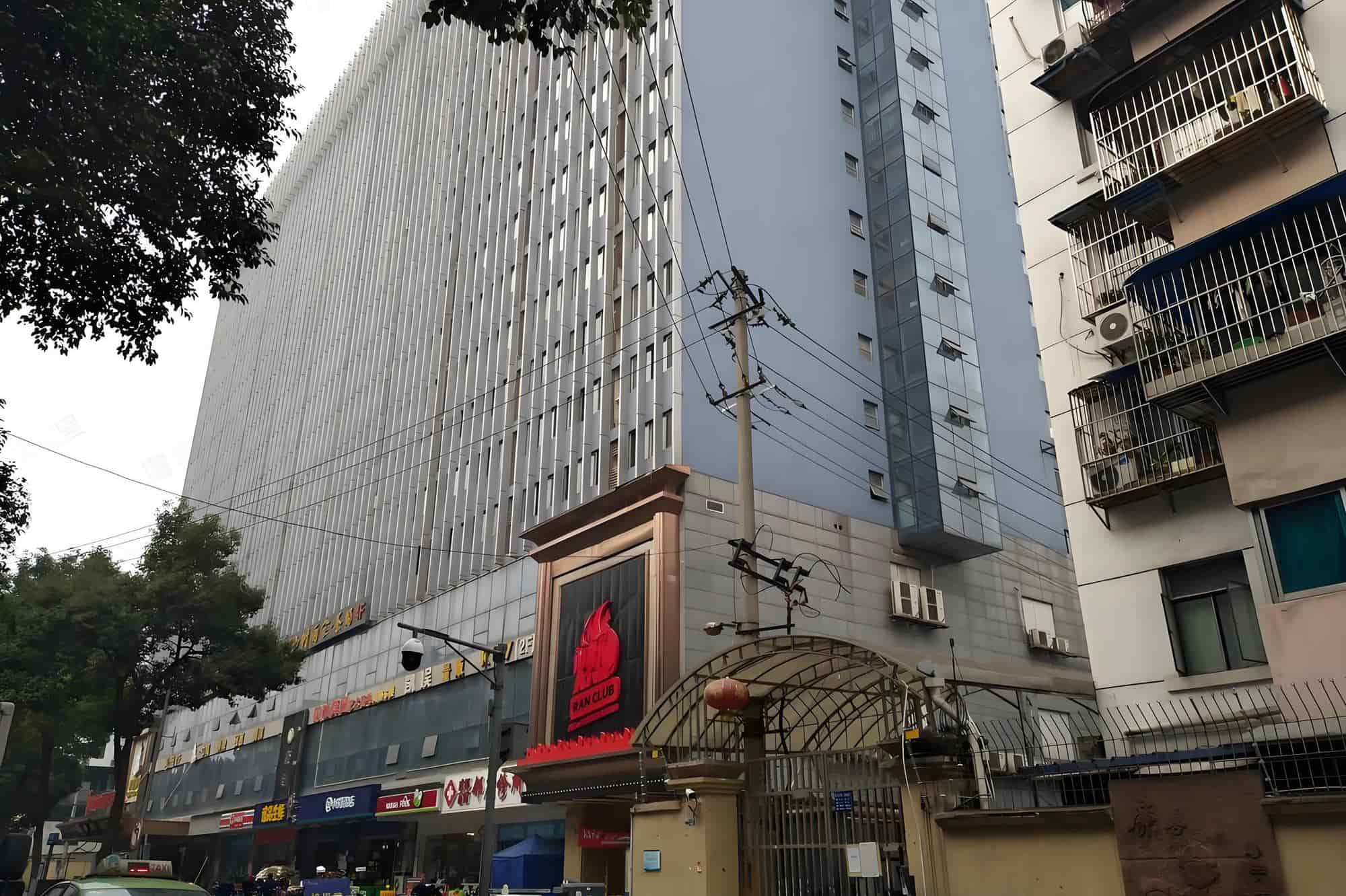 神仙树3号